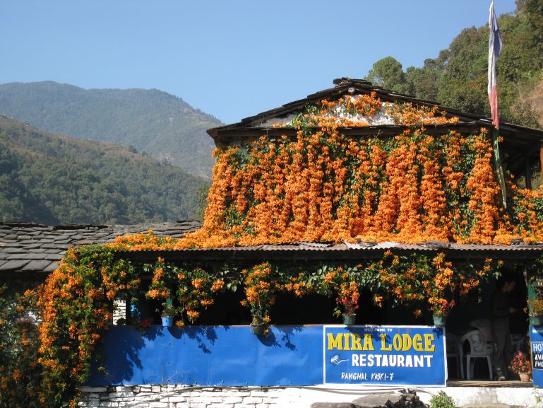 Lodge on the Poon Hill trek
