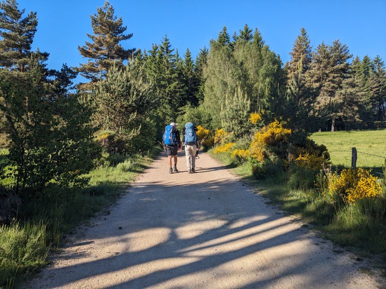 Pilgrims on the Camino le Puy