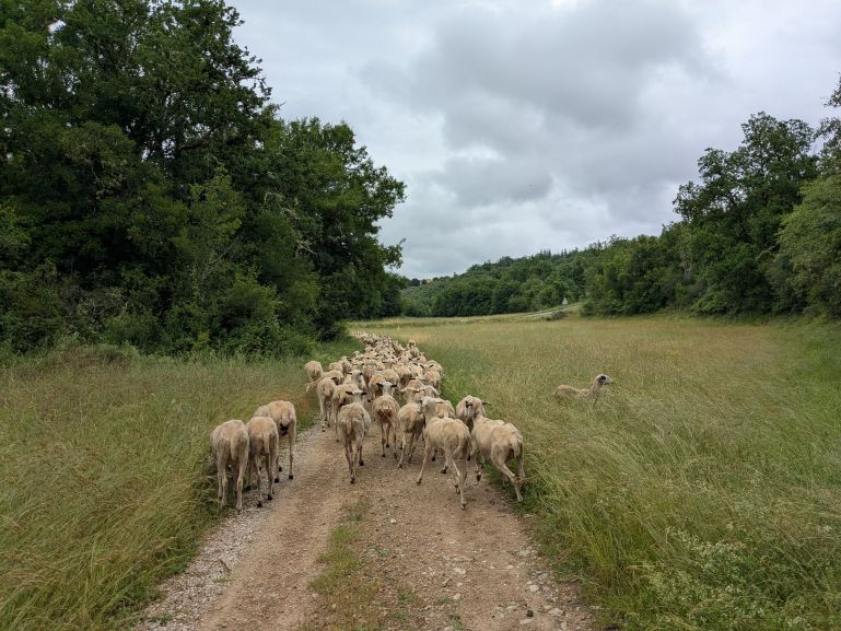 Back on the GR65 Camino le Puy