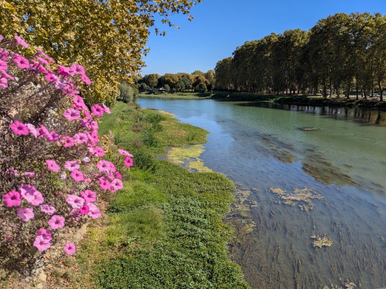 Walking into Aire sur l'Adour