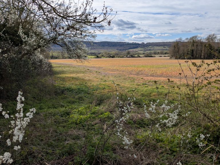 The countryside of the Kent Downs