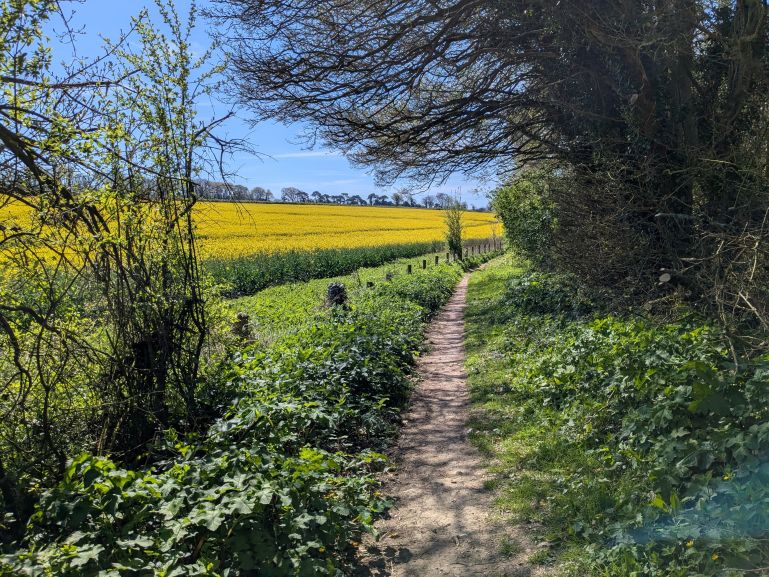 The English countryside on the Via Francigena from Canterbury to Dover