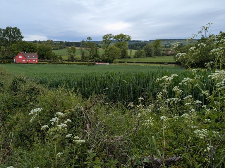 The Via Francigena in France in May