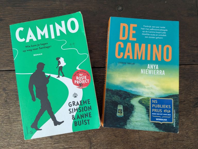 The Best Fiction Books about the Camino le Puy - Via Podiensis